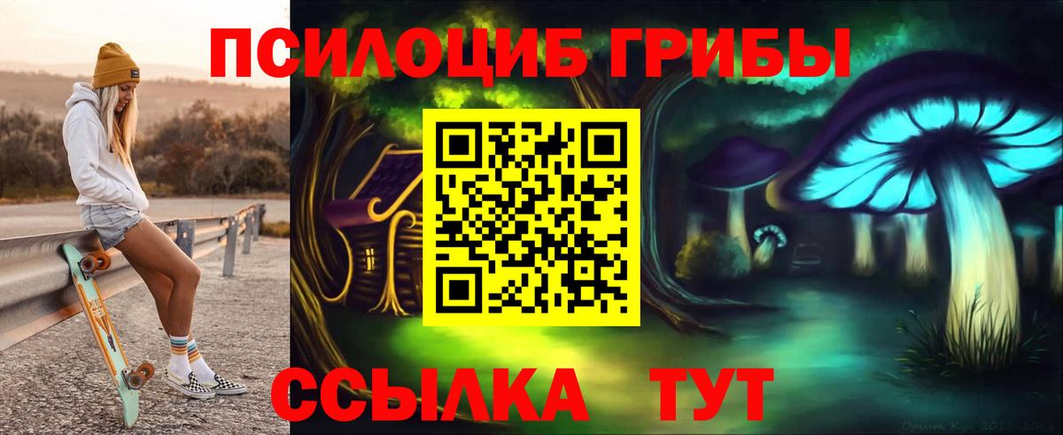 Майский  Галлюциногенные грибы прущие грибы  Вход с VPN 